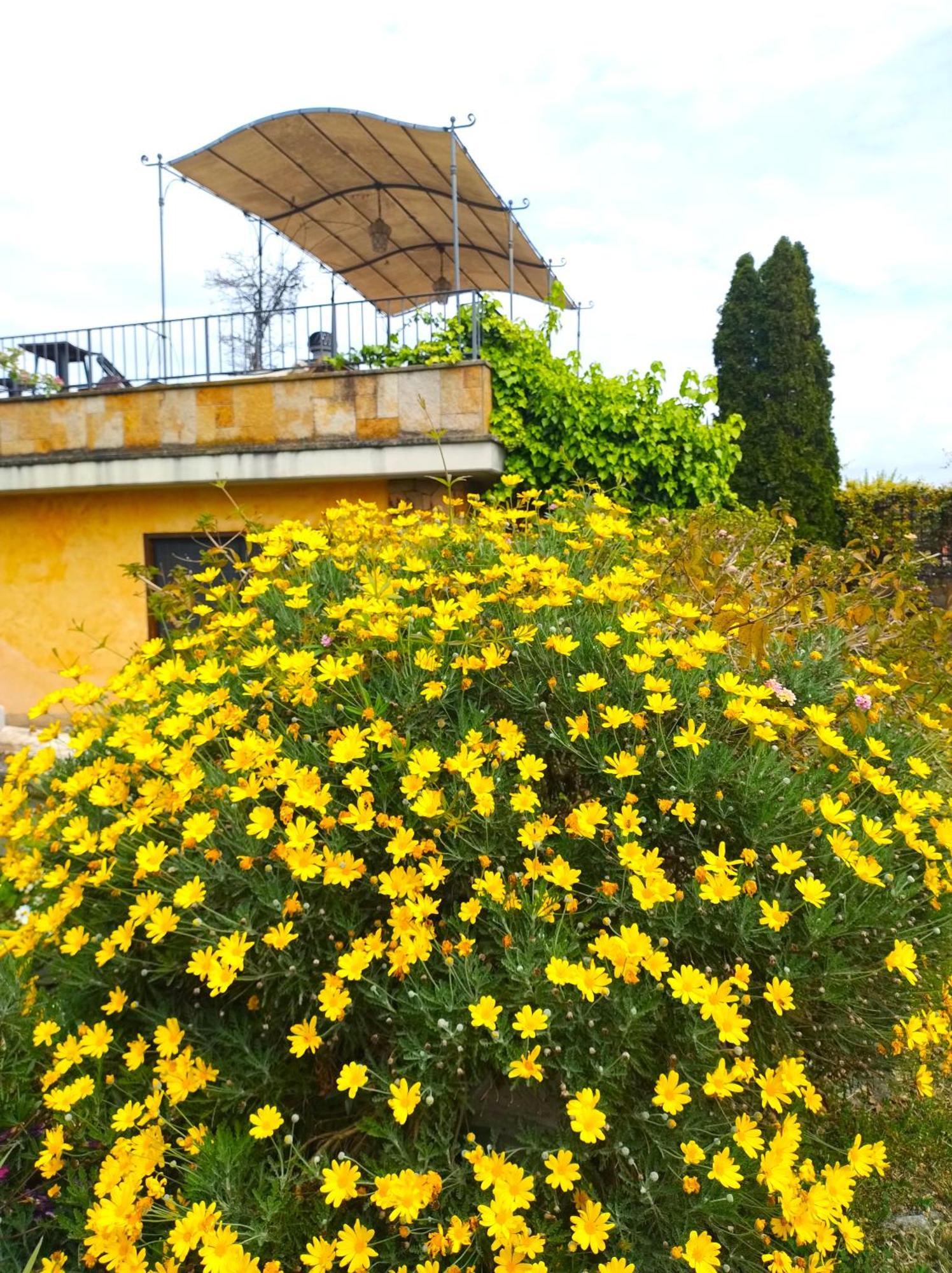 La Valle Dei Casali B&B Con Piscina E Natura A Roma Exteriör bild